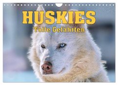 Huskies - Tolle Gefährten (Wandkalender 2025 DIN A4 quer), CALVENDO Monatskalender