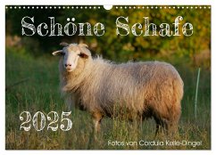 Schöne Schafe (Wandkalender 2025 DIN A3 quer), CALVENDO Monatskalender - Calvendo;Kelle-Dingel, Cordula