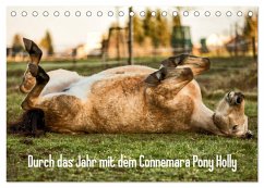 Durch das Jahr mit dem Connemara Pony Holly (Tischkalender 2025 DIN A5 quer), CALVENDO Monatskalender - Calvendo;Pfeifer, Romy