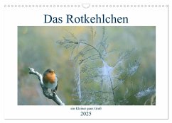 Das Rotkehlchen, ein Kleiner ganz Groß (Wandkalender 2025 DIN A3 quer), CALVENDO Monatskalender