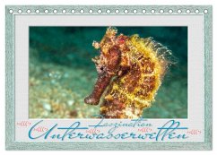 Faszination Unterwasserwelten (Tischkalender 2025 DIN A5 quer), CALVENDO Monatskalender