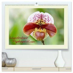 Wunderbare Paphiopedilum (hochwertiger Premium Wandkalender 2025 DIN A2 quer), Kunstdruck in Hochglanz