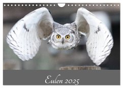 Eulen 2025 (Wandkalender 2025 DIN A4 quer), CALVENDO Monatskalender