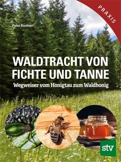 Waldtracht von Fichte und Tanne - Buchner, Peter