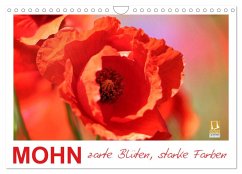 Mohn, zarte Blüten, starke Farben (Wandkalender 2025 DIN A4 quer), CALVENDO Monatskalender