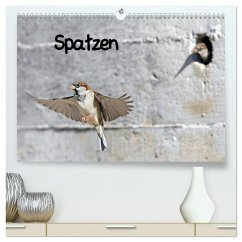 Spatzen (hochwertiger Premium Wandkalender 2025 DIN A2 quer), Kunstdruck in Hochglanz