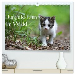 Junge Katzen im Wald (hochwertiger Premium Wandkalender 2025 DIN A2 quer), Kunstdruck in Hochglanz Junge Katzen im Wald (hochwertiger Premium Wandkalender 2025 DIN A2 quer), Kunstdruck in Hochglanz
