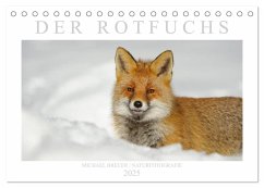 Der Rotfuchs (Tischkalender 2025 DIN A5 quer), CALVENDO Monatskalender