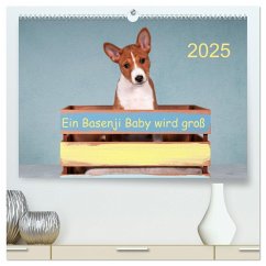Ein Basenji Baby wird groß (hochwertiger Premium Wandkalender 2025 DIN A2 quer), Kunstdruck in Hochglanz