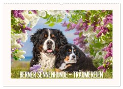 Berner Sennenhunde - Träumereien (Wandkalender 2025 DIN A2 quer), CALVENDO Monatskalender