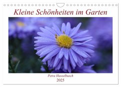 Kleine Schönheiten im Garten (Wandkalender 2025 DIN A4 quer), CALVENDO Monatskalender