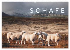 Schafe - Raues Wetter, weiche Wolle (Wandkalender 2025 DIN A2 quer), CALVENDO Monatskalender