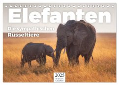 Elefanten - Die sympathischen Rüsseltiere (Tischkalender 2025 DIN A5 quer), CALVENDO Monatskalender