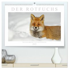 Der Rotfuchs (hochwertiger Premium Wandkalender 2025 DIN A2 quer), Kunstdruck in Hochglanz