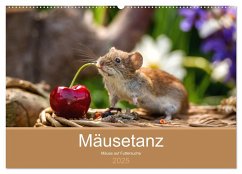 Mäusetanz (Wandkalender 2025 DIN A2 quer), CALVENDO Monatskalender