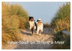 Hunde-Spaß an Strand & Meer (Tischkalender 2025 DIN A5 quer), CALVENDO Monatskalender