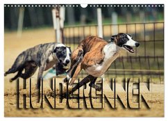 Hunderennen (Wandkalender 2025 DIN A3 quer), CALVENDO Monatskalender - Calvendo;Bleicher, Renate