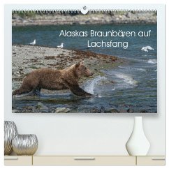 Grizzlybären im Katmai Nationalpark Alaska (hochwertiger Premium Wandkalender 2025 DIN A2 quer), Kunstdruck in Hochglanz
