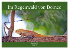 Im Regenwald von Borneo (Wandkalender 2025 DIN A2 quer), CALVENDO Monatskalender