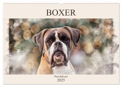 Boxer Photo&Kunst (Wandkalender 2025 DIN A2 quer), CALVENDO Monatskalender