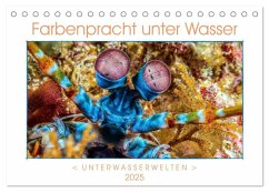 Farbenpracht unter Wasser (Tischkalender 2025 DIN A5 quer), CALVENDO Monatskalender