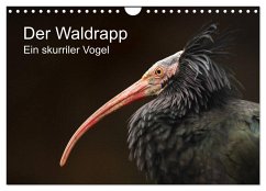 Der Waldrapp - Ein skurriler Vogel (Wandkalender 2025 DIN A4 quer), CALVENDO Monatskalender
