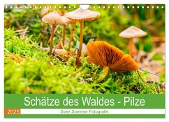 Schätze des Waldes - Pilze (Wandkalender 2025 DIN A4 quer), CALVENDO Monatskalender - Calvendo;Sommer Fotografie, Sven