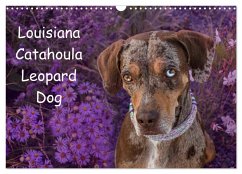 Lousiana Catahoula Leopard (Wandkalender 2025 DIN A3 quer), CALVENDO Monatskalender - Calvendo;on Tour, Catahouligan