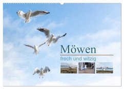 Möwen frech und witzig (Wandkalender 2025 DIN A2 quer), CALVENDO Monatskalender