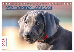 Weimaraner-Labrador (Tischkalender 2025 DIN A5 quer), CALVENDO Monatskalender