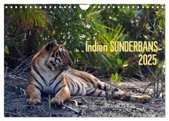Indien Sunderbans (Wandkalender 2025 DIN A4 quer), CALVENDO Monatskalender - Calvendo;Bergermann, Manfred