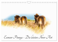 Exmoor Ponnys - Die letzten Ihrer Art (Wandkalender 2025 DIN A4 quer), CALVENDO Monatskalender - Calvendo;Antoniewski, Torsten