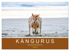 Kängurus, sprunghafte Gesellen (Wandkalender 2025 DIN A3 quer), CALVENDO Monatskalender - Calvendo;Styppa, Robert