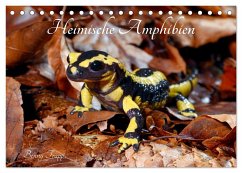 Heimische Amphibien (Tischkalender 2025 DIN A5 quer), CALVENDO Monatskalender - Calvendo;Trapp, Benny