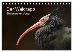 Der Waldrapp - Ein skurriler Vogel (Tischkalender 2025 DIN A5 quer), CALVENDO Monatskalender