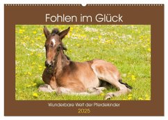 Fohlen im Glück - Wunderbare Welt der Pferdekinder (Wandkalender 2025 DIN A2 quer), CALVENDO Monatskalender
