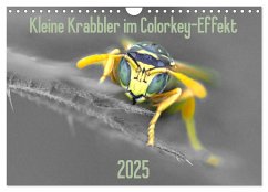 Kleine Krabbler im Colorkey-Effekt (Wandkalender 2025 DIN A4 quer), CALVENDO Monatskalender