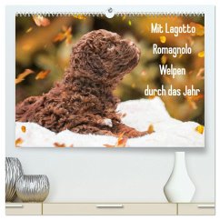 Mit Lagotto Romagnolo Welpen durch das Jahr (hochwertiger Premium Wandkalender 2025 DIN A2 quer), Kunstdruck in Hochglanz - Calvendo;Starick, Sigrid