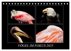 Vögel im Fokus 2025 (Tischkalender 2025 DIN A5 quer), CALVENDO Monatskalender