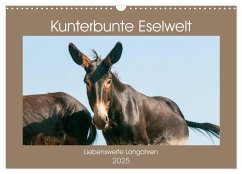 Kunterbunte Eselwelt - Liebenswerte Langohren (Wandkalender 2025 DIN A3 quer), CALVENDO Monatskalender