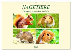 Nagetiere. Hamster, Kaninchen und Co. (Wandkalender 2025 DIN A2 quer), CALVENDO Monatskalender