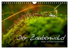 Der Zauberwald - Detailaufnahmen (Wandkalender 2025 DIN A4 quer), CALVENDO Monatskalender