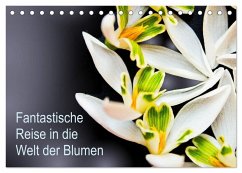 Fantastische Reise in die Welt der Blumen (Tischkalender 2025 DIN A5 quer), CALVENDO Monatskalender - Calvendo;Klöppel, Anke