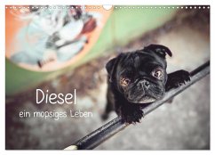 Diesel - ein mopsiges Leben (Wandkalender 2025 DIN A3 quer), CALVENDO Monatskalender - Calvendo;Wobith Photography - FotosVonMaja, Sabrina