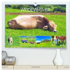 Weideviecher, Kühe liebevolle Wiederkäuer (hochwertiger Premium Wandkalender 2025 DIN A2 quer), Kunstdruck in Hochglanz