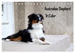 Australian Shepherd Tri Color (Tischkalender 2025 DIN A5 quer), CALVENDO Monatskalender