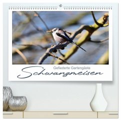 Gefiederte Gartengäste, Schwanzmeisen (hochwertiger Premium Wandkalender 2025 DIN A2 quer), Kunstdruck in Hochglanz - Calvendo