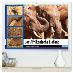 Der Afrikanische Elefant - Loxodonta africana (hochwertiger Premium Wandkalender 2025 DIN A2 quer), Kunstdruck in Hochglanz - Calvendo;Fraatz, Barbara