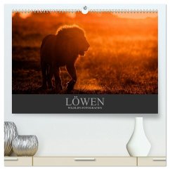 Löwen Wildlife-Fotografien (hochwertiger Premium Wandkalender 2025 DIN A2 quer), Kunstdruck in Hochglanz