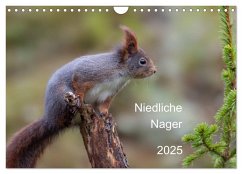 Niedliche Nager (Wandkalender 2025 DIN A4 quer), CALVENDO Monatskalender